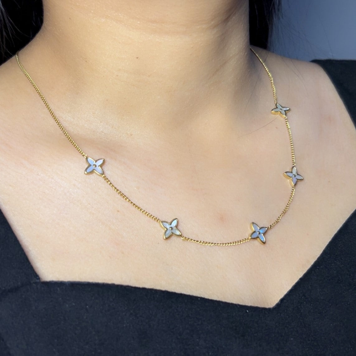 Daisy Dazzle