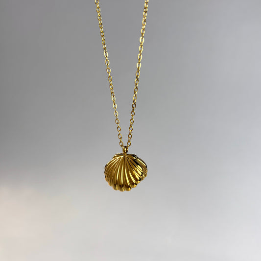 Shell Pearl Necklace